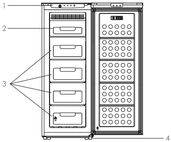 FORTEX BCV156NF - CE - 1