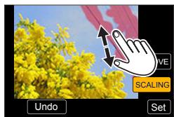 PANASONIC LUMIX DC-TZ90 - Erasing details (enlarging the display) - 1