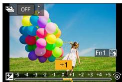 PANASONIC LUMIX DC-TZ90 - When setting the brightness (exposure) - 1