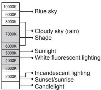 PANASONIC LUMIX DC-TZ90 - Auto White Balance - 1