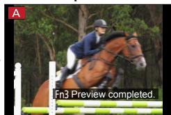 PANASONIC LUMIX DC-TZ90 - Press the [Fn3] button to switch the confirmation screen - 3