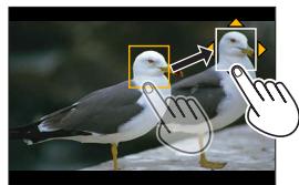 PANASONIC LUMIX DC-TZ90 - Setting up [Pull Focus] - 1