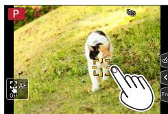 PANASONIC LUMIX DC-TZ90 - Touch the subject - 1