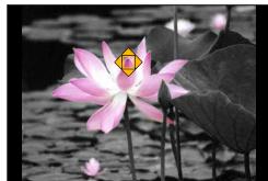 PANASONIC LUMIX DC-TZ90 - Selecting the colour to be retained ([One Point Color]) - 1