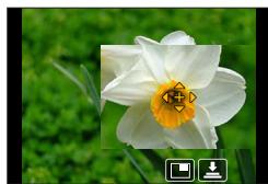 PANASONIC LUMIX DC-TZ90 - [ \text{MENU} \rightarrow \text{[Rec] / [Motion Picture]} \rightarrow \text{[AF Mode]} ] - 1