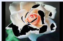 PANASONIC LUMIX DC-TZ90 - [Highlight] - 1