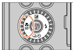 PANASONIC LUMIX DC-TZ90 - Taking close-up pictures (Macro recording) - 1