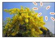 PANASONIC LUMIX DC-TZ90 - [Clear Retouch] - 3