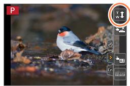 PANASONIC LUMIX DC-TZ90 - Touch [34] - 1