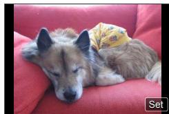 PANASONIC LUMIX DC-TZ90 - [Single] - 1