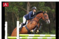 PANASONIC LUMIX DC-TZ90 - Press the [Fn3] button to switch the confirmation screen - 1