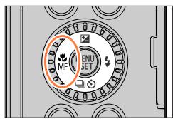 PANASONIC LUMIX DC-TZ90 - Taking pictures with Manual Focus - 1