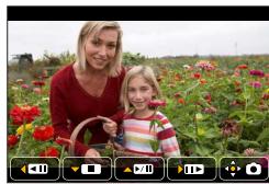 PANASONIC LUMIX DC-TZ90 - Capturing still pictures from motion pictures - 1