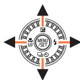 PANASONIC LUMIX DC-TZ90 - About the symbols in the text - 3