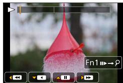 PANASONIC LUMIX DC-TZ90 - <4K burst playback screen> - 2