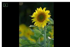 PANASONIC LUMIX DC-TZ90 - About the direction detect function - 1