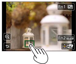 PANASONIC LUMIX DC-TZ90 - Touch the focus point - 2