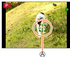 PANASONIC LUMIX DC-TZ90 - Align the AF Tracking area with the subject and press the shutter button halfway - 1