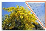 PANASONIC LUMIX DC-TZ90 - [Clear Retouch] - 1