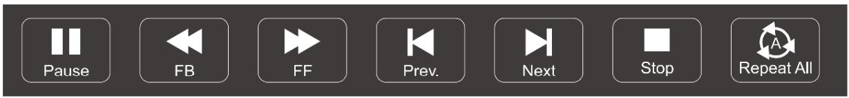 PROLINE L4930FHD - Lecture de films - 1