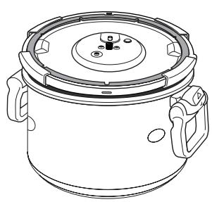 SEB CLIPSO COMPACT 10L - Si des alimentés ont brûlé dans la cocotte : - 4
