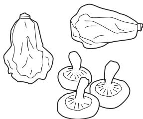 SCHNEIDER 10151 - Conseils pour la conservation des aliments - 1