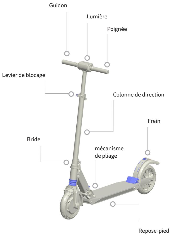 MICRO Merlin K - Garantie - 1