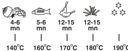 PROLINE DFS 12cobI - Friture - 1