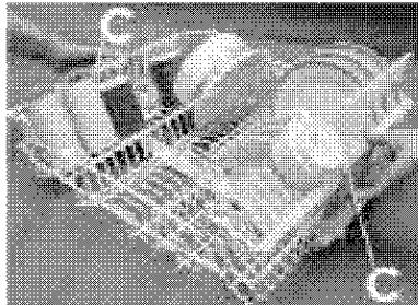 LADEN C 857 BLANC - Réglage supérieur : - 2