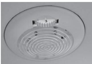 SCHNEIDER SCRL221AS0 - Ampoule: - 1