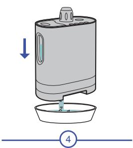 STEAMONE OVALY - SteamOne - 10