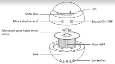 AIR NATUREL BULDAIR JUNIOR - Descriptif - 1