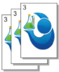 PANTUM M6550NW - 9.4.7.Copie par exemplaire - 6