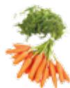 MAGIMIX JUICE EXPERT 3 ROUGE - Filtre JUS - 3