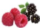 MAGIMIX JUICE EXPERT 3 ROUGE - Coupe-légumes* - 22