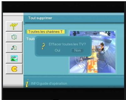 VISIOSAT TVT 250 USB PLUS - Tout supprimer - 1