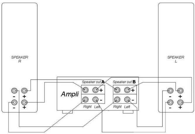 TRIANGLE TITUS EX BLACK (X1) - Le bicablage et la bi- amplification - 2
