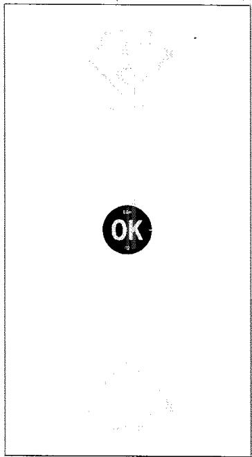 GORENJE K 336/2 P4 - Indicateur de température - 1