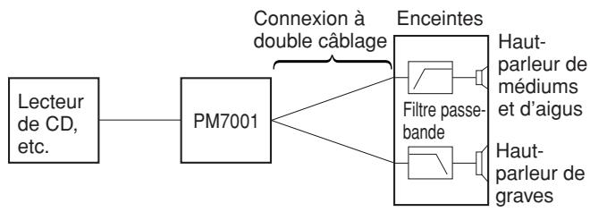 MARANTZ PM7001B - Connexion à DOUBLE câblage - 1