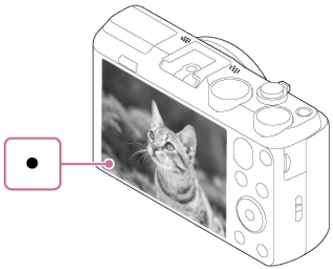 SONY HX60 - Prise d'images fixes - 2