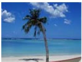 SONY HX60 - Plage : - 1
