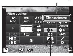 OLYMPUS E-M10 MKIV NU ARGENT - Application d'effets de filtrre aux images monochromes - 1