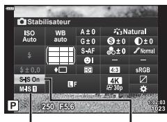 OLYMPUS E-M10 MKIV NU ARGENT - Réduction des tremblements de l'appareil photo (Stabilisateur) - 1
