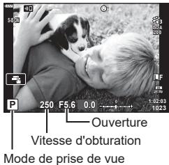 OLYMPUS E-M10 MKIV NU ARGENT - Laisser l'appareil photo désirir l'ouverture et la vitesse d'obturation (Mode Programme) - 2