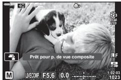 OLYMPUS E-M10 MKIV NU ARGENT - La photographie Composite en direct (composite avec champASFRE et lumineux) - 4