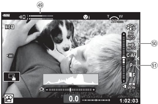OLYMPUS E-M10 MKIV NU ARGENT - Affichage de l'écran en mode Video - 1