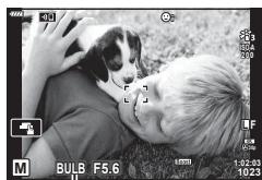 OLYMPUS E-M10 MKIV NU ARGENT - Photographie « Time » et « Live TIME » - 3