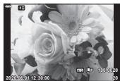 OLYMPUS E-M10 MKIV NU ARGENT - (Lecture Index et Calendrier) - 1