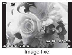 OLYMPUS E-M10 MKIV NU ARGENT - Appuyez sur le bouton - 2