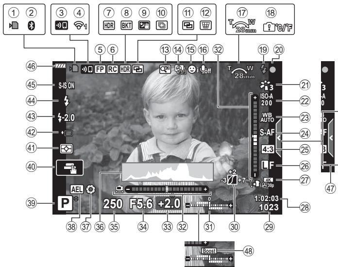 OLYMPUS E-M10 MKIV NU ARGENT - Affichage de I'ecran pendant la photographie fixe - 1